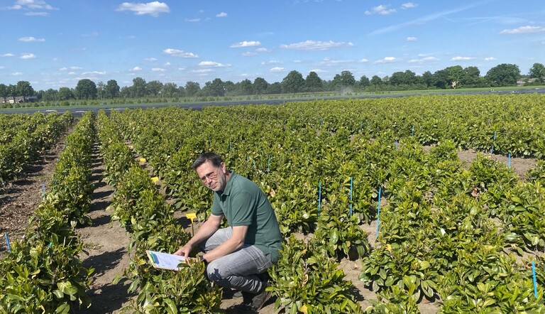 Stephn in het veld